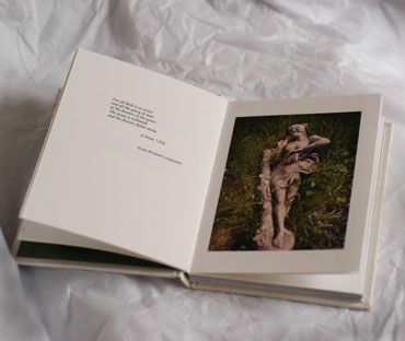 Image of book, Transient Beauty (hand made edition)